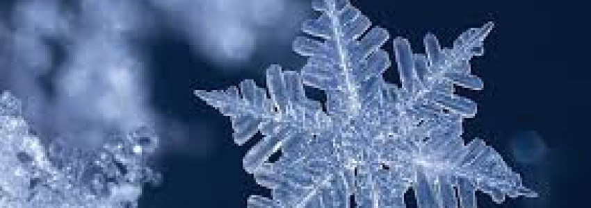 Plateaux repas festifs