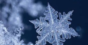 Plateaux repas festifs Entreprise