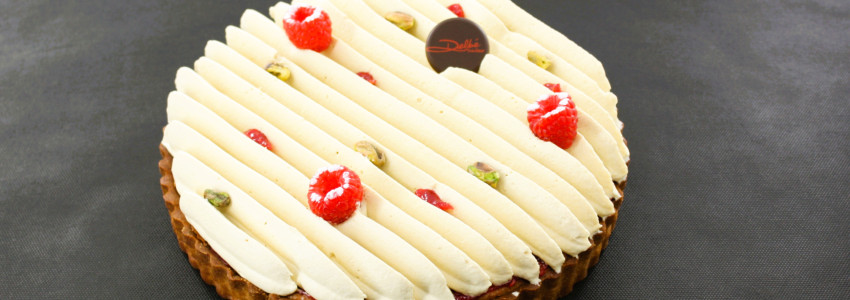 Les Nouveautés ! ☼