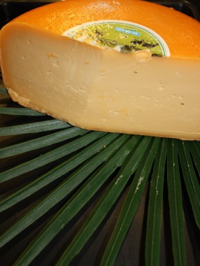 Gouda jeune