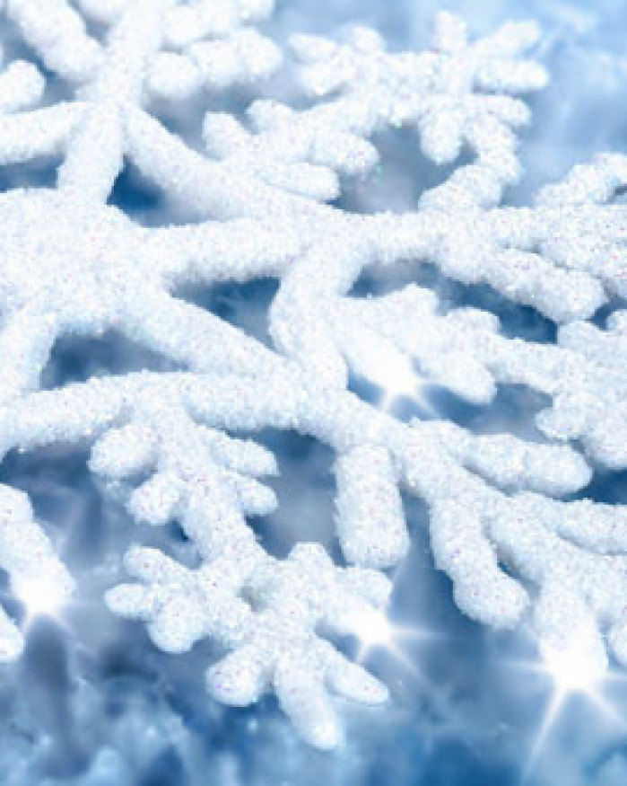 Menu Flocons de neige  2 et 3 pers