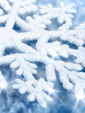 Menu Flocons de neige  2 et 3 pers