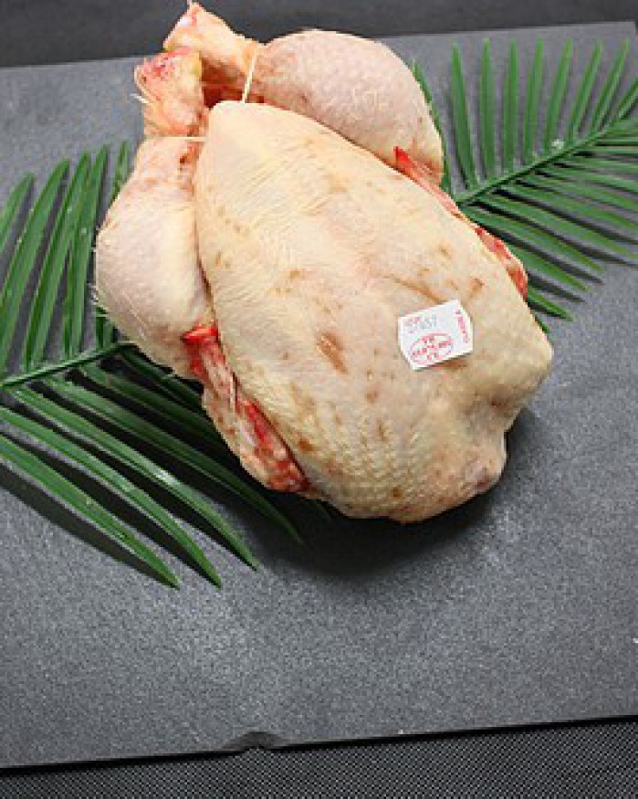 Poulet Ordinaire Prêt à Cuire