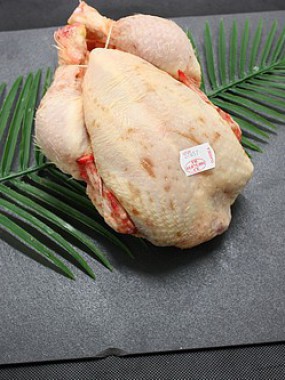 Poulet Ordinaire Prêt à Cuire