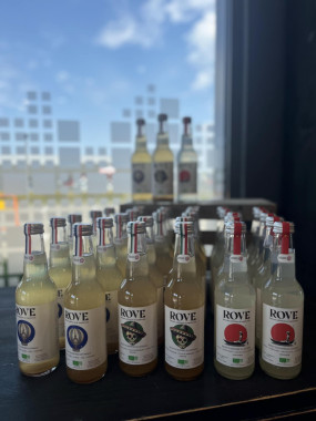 ROVE MEXIQUE 33 CL