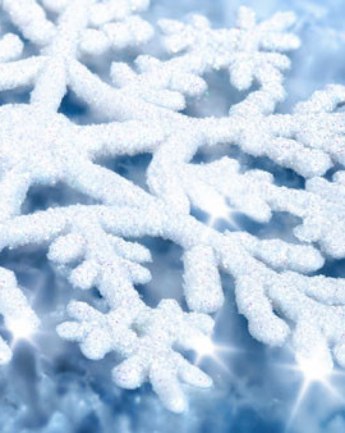 Menu Flocons de neige à partir de 4 pers