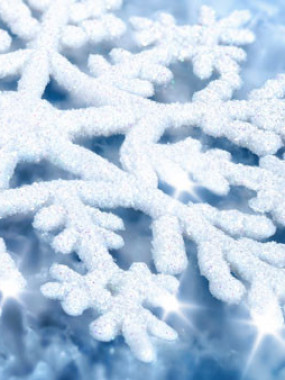 Menu Flocons de neige à partir de 4 pers