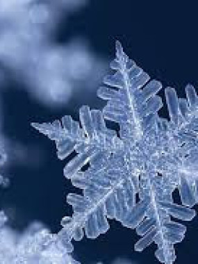 PLATEAU REPAS LE TERRE FESTIF