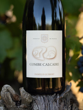 COMBE  CALCAIRE MAS DE GASSAC