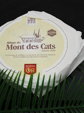 Monts des cats